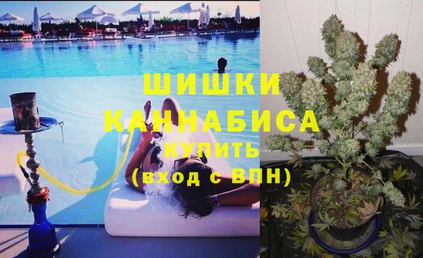 винт Сосновый Бор