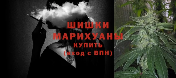 винт Сосновый Бор