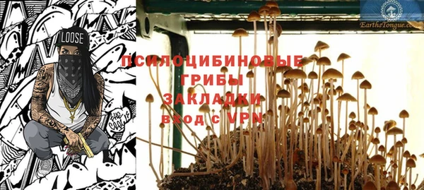 Альфа ПВП Сосновоборск