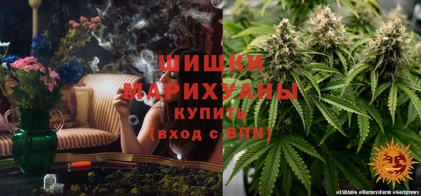 винт Сосновый Бор