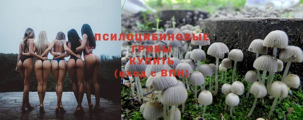 Альфа ПВП Сосновоборск