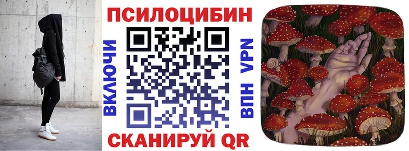 хочу   Сенгилей  Галлюциногенные грибы MAGIC MUSHROOMS 